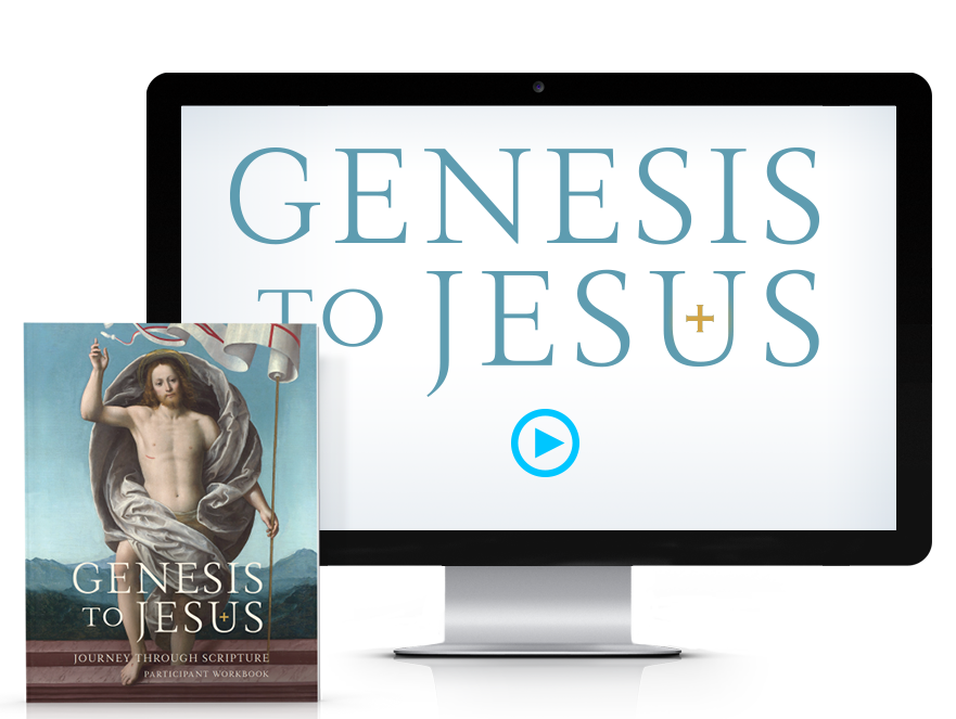 Genesis to Jesus Participant Guide Downloadable PDF