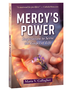 Mercy's Power: Inspiration to Serve the Gospel of Life